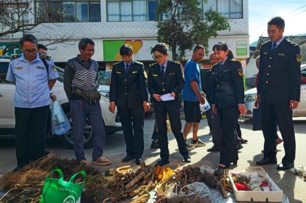 股涨柜 云南宁洱“街天”巡查治理乡村药市