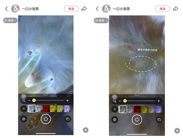 亚晶金融 网友发现iPhone能检查虫子 苹果回应：放大器无此功能