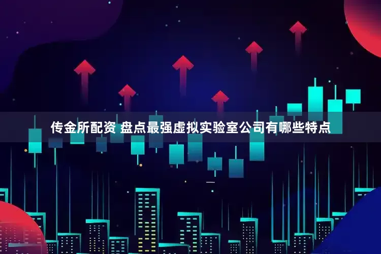 传金所配资 盘点最强虚拟实验室公司有哪些特点